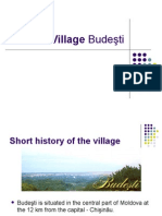 Budesti Village