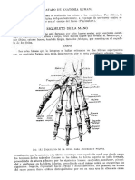 Tratado de Anatomia Humana Quiroz Tomo I - 154