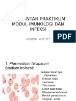 Rev. Pengantar Praktikummodul Imunologi & Infeksi - ppt1
