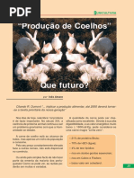Produção de Coelhos