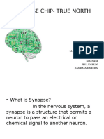 Synapse