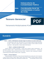 Tesouro Gerencial Multiplicadores