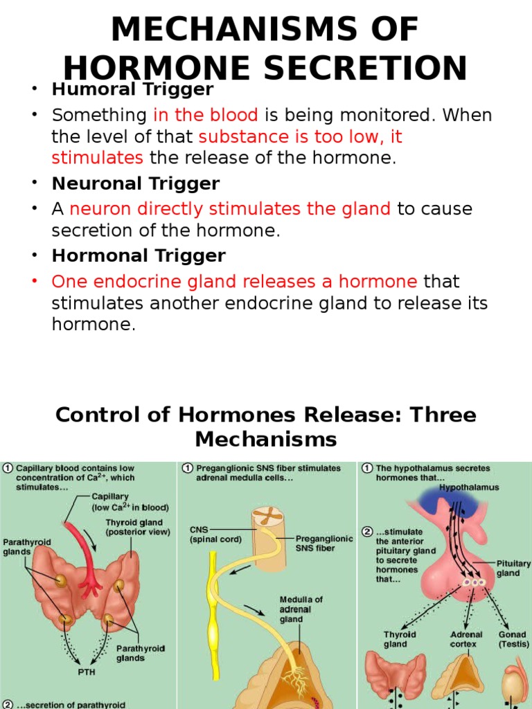 Lecture - 2 Mechanism of Hormone Secretion Biology Diagrams