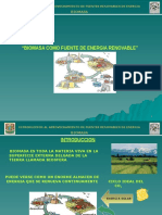 BIOMASA+fuente de Energia