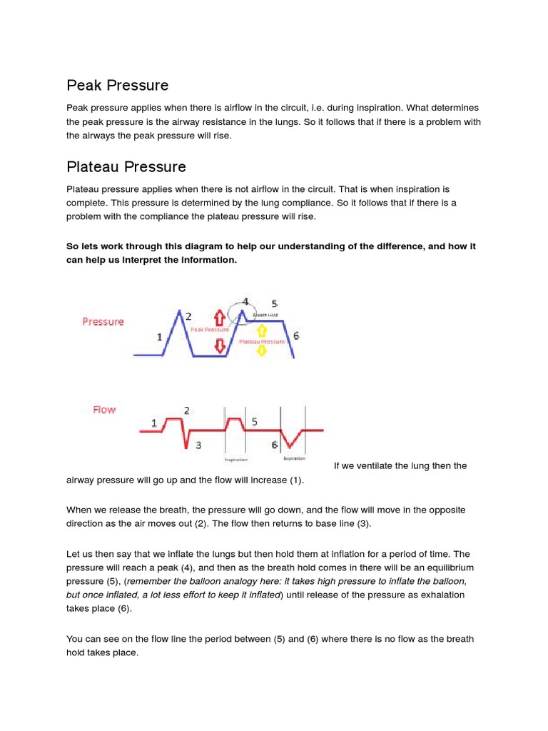 Peak Pressure and Peak Plateau Breathing Respiration