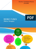 REINO FUNGI. Diapositiva