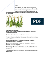 Plantas Medicinales