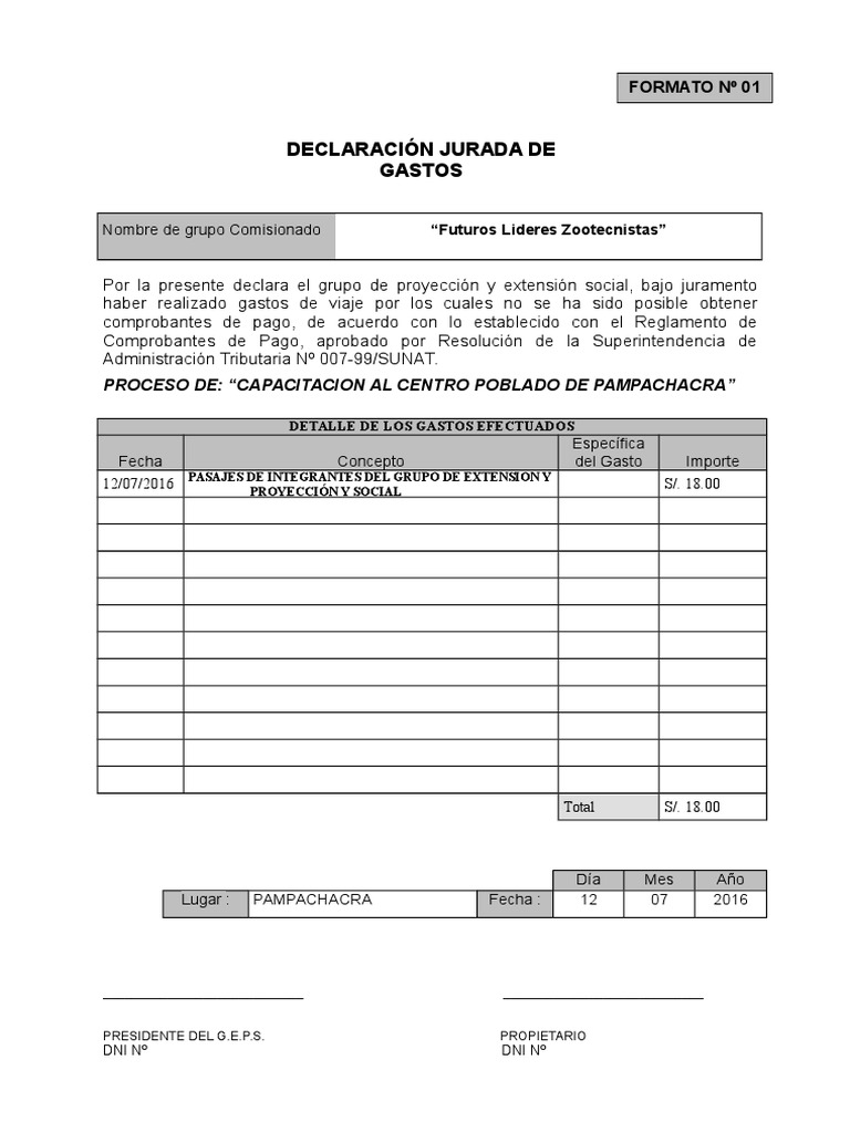 Declaracion Jurada de Gastos | PDF | Gobierno
