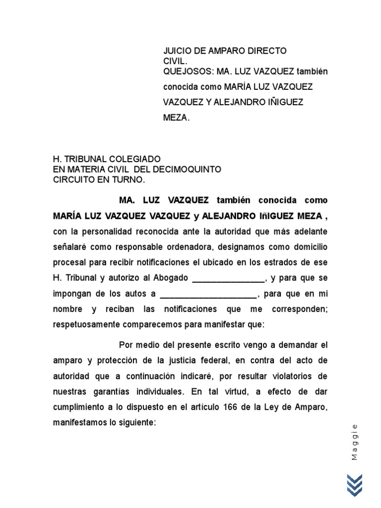 Demanda de Amparo Contra Sentencia | PDF | Derechos humanos | Ley procesal
