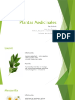 Plantas Medicinales