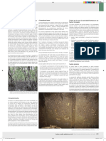 suelos organico.pdf