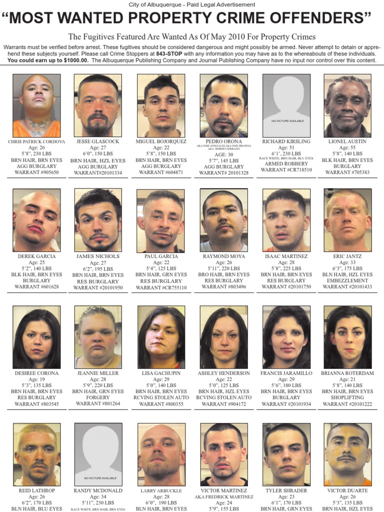 Most Wanted Property Crime Offenders The Fugitives