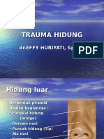 Trauma Hidung