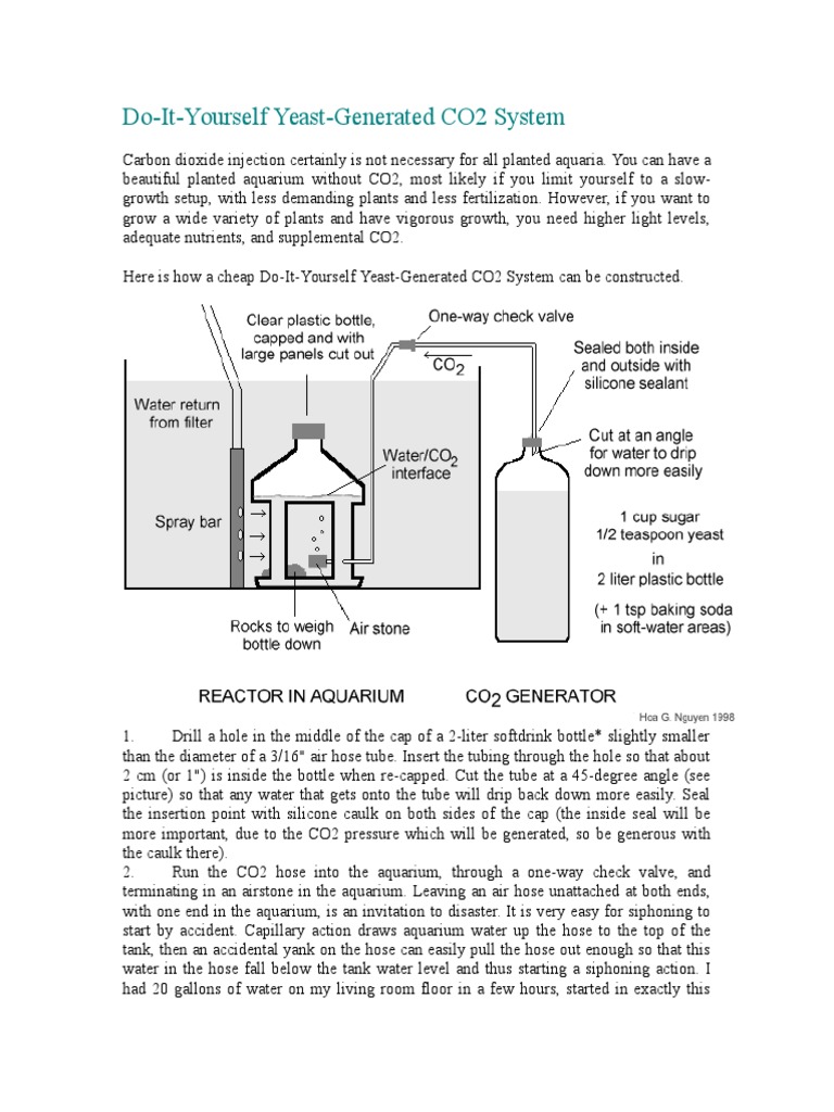Regulating Aquarium Co2 Levels With Yeast photo