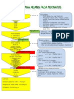 Tatalaksana Kejang Neonatus