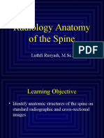 Radiology Anatomy of The Spine: Luthfi Rusyadi, M.SC