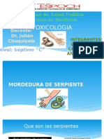 MORDEDURA-DE-SERPIENTE.definitivo.pptx
