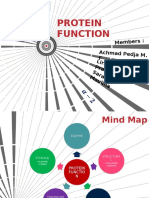 Protein Function