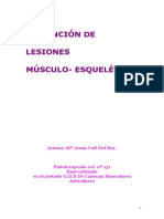 rlcurso_lesiones_1 (1)