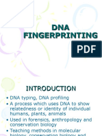 DNA Fingerprinting Guide: Methods and Applications in Forensics