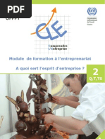 2.    A quoi sert l’esprit d’entreprise _