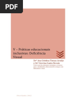 Unidade_5_-_Deficiencia_Visual