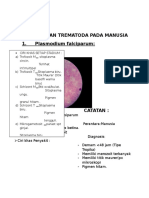 Cestoda Dan Trematoda Pada Manusia