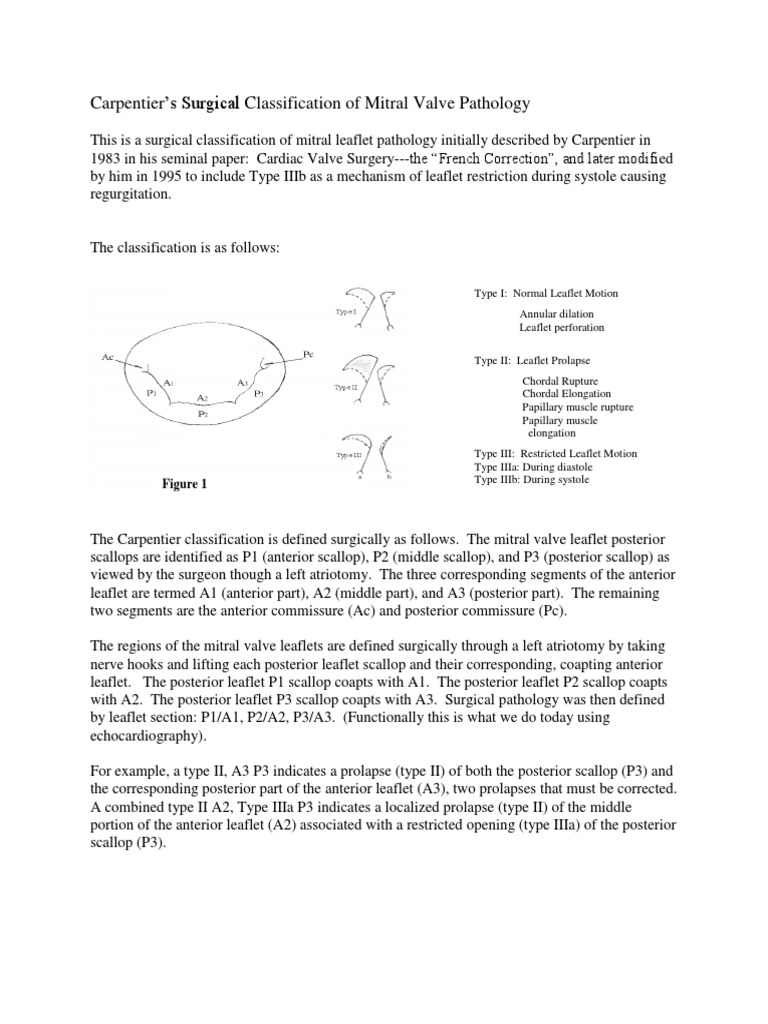 Carpentier Mitral Valve Classification | PDF | Heart Valve | Thorax ...