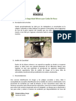 alertadeseguridad-caida_de_roca.pdf