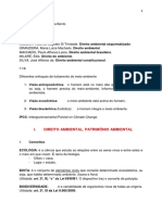 AMBIENTAL -Luciana 16-9.pdf