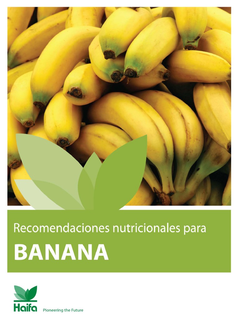 Manual de Cultivo de Bananas
