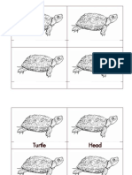 Wide Parts of Turtle Cards