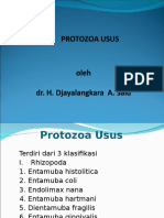 Protozoa Usus 2