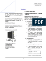 MONITORES_FINAL.docx
