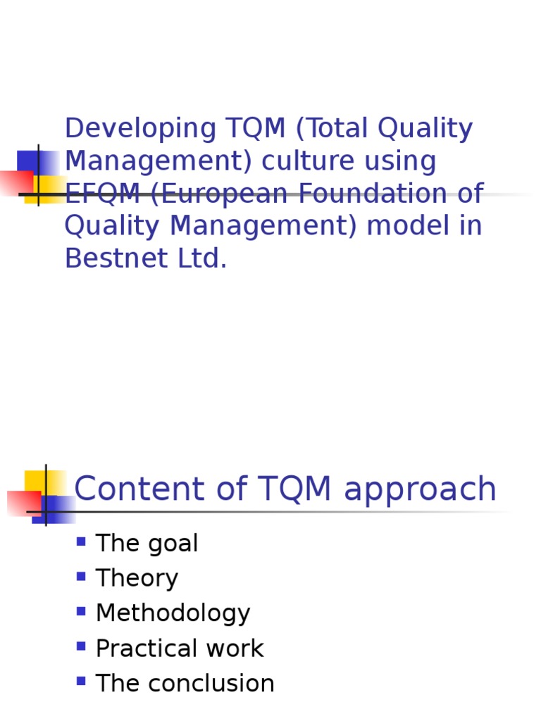 TQM Culture Development at Bestnet Ltd. | PDF