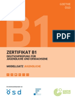 b1_modellsatz_jugendliche_neu.pdf