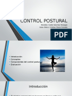 Control postural evaluación visual vestibular somatosensorial
