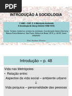 1º Ano Sociologia Cap 5 Simmel