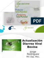 Actualizacion DVB