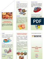 Triptico de Alimenots de Origen Animal PDF