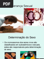 1 - Heranca Ligada Ao Sexo