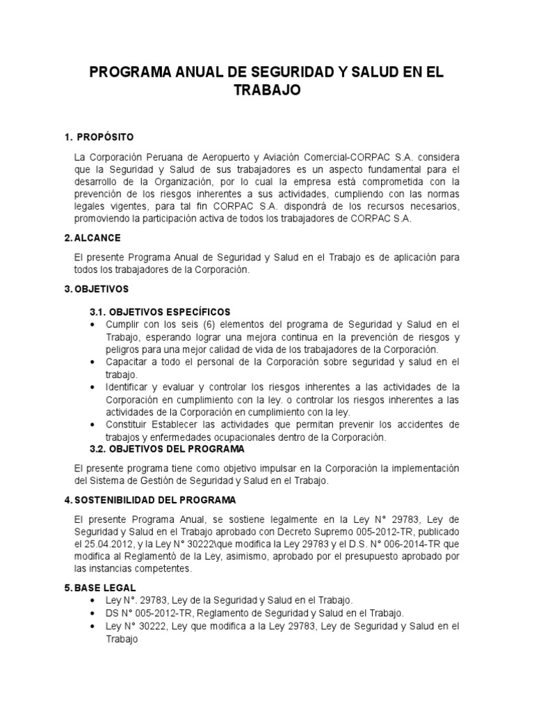 Programa Anual de Seguridad y Salud Laboral | PDF | Seguridad y salud ...