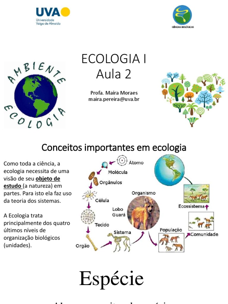 Biologia Estrutura Dos Ecossistemas Habitat E Nicho Ecológico