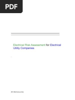 Electrical Utility Company Risk Management plan