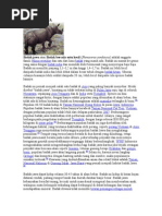 Download BADAK JAWA by Kanaganet SN31903159 doc pdf
