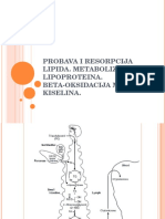 9probava I Resorpcija Lipida