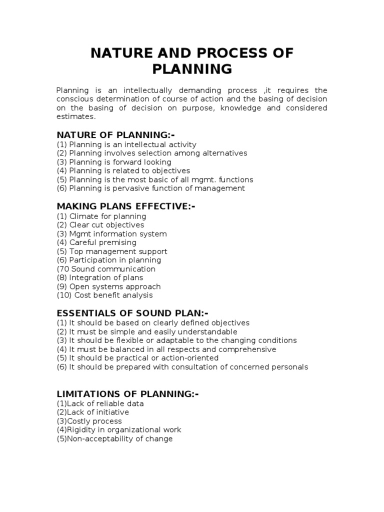 Understanding the Planning Process | PDF | Planning | System