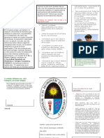 ALTERNATIVAS-DE-PROTECCION-PARA-LOS-EFESTOS-DE-RADIACIONES-SOLARES (1).docx