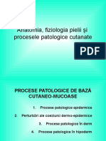 01 Anatomie Fiziologie Imagini Fara Imagini