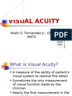 Lecture 2 Visual Acuity